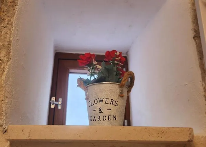 La Maison De Poupee Проживание в семье Бари